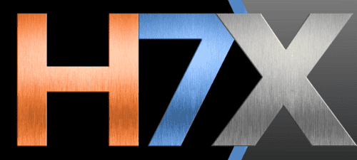 H7X = High-Performance networking for 7 to 10 (X) Members of H7. Ready to play a bigger game inside H7 Network? H7X is your next step. H7X is an invitation-only, high-performing experience for members who want to collaborate at a deeper level, sharpen their strategy, and generate more predictable introductions with a committed circle of peers.